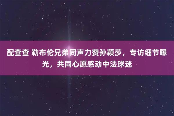 配查查 勒布伦兄弟同声力赞孙颖莎，专访细节曝光，共同心愿感动中法球迷